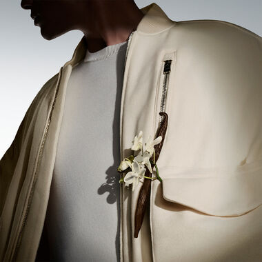 faces the collection exhilarating vanilla intense