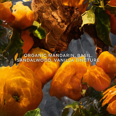 Aqua Allegoria Forte Mandarine Basilic faces aqua allegoria forte mandarine basilic