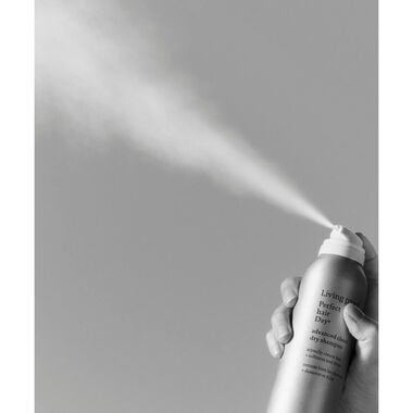 faces شامبو جاف متقدم بيرفكت هير داي