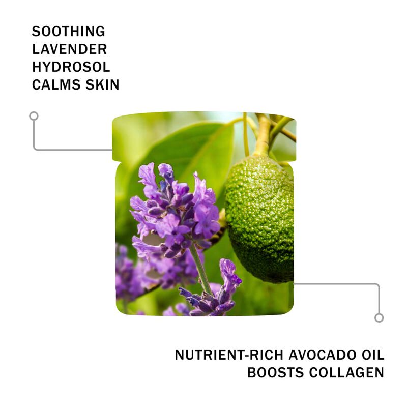 antipodes rejoice light facial day cream