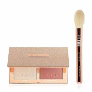 faces مجموعة بلاشر وهايلايتر روز جلو تشيك دو