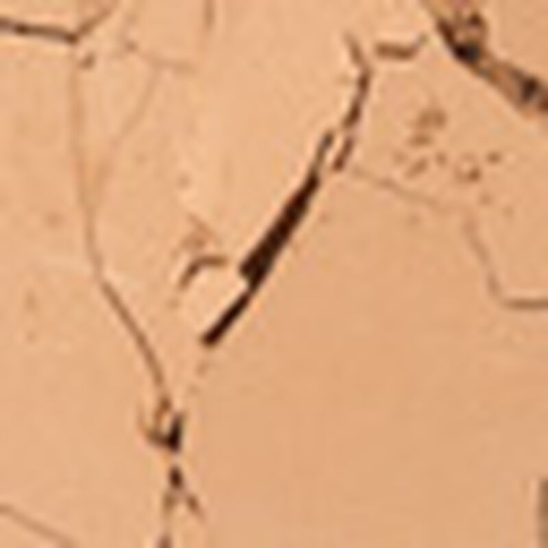 benefit hoola bronzing powder mini