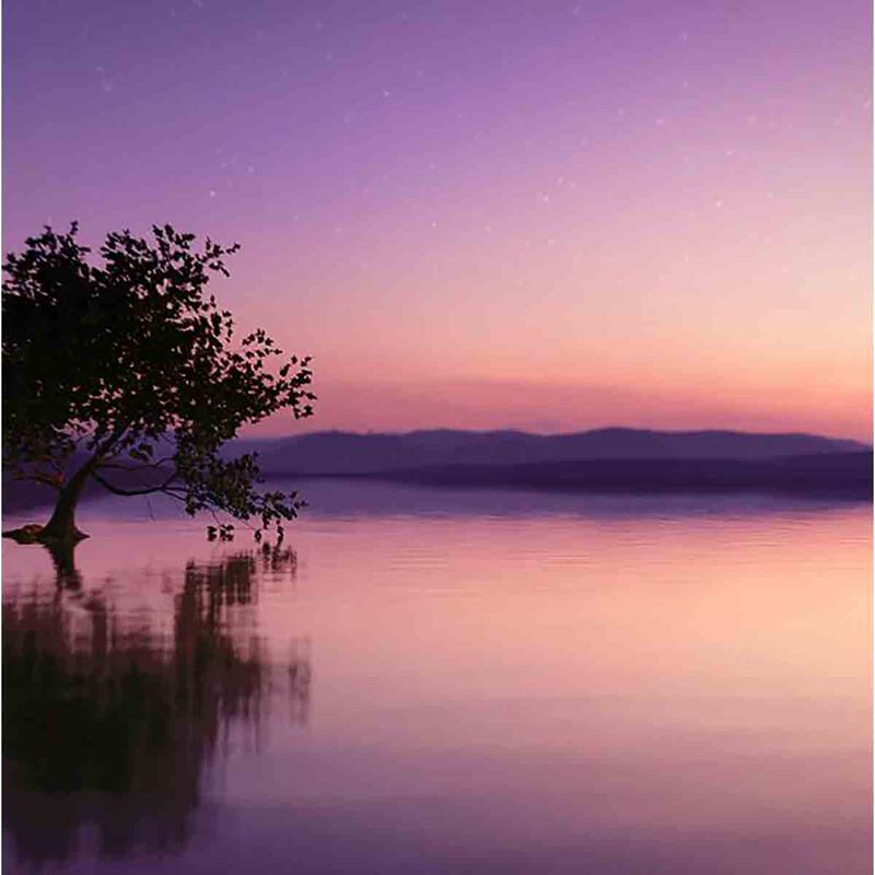 estee lauder sensuous stars eau de parfum