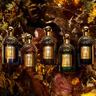 faces absolus allegoria oud essentiel