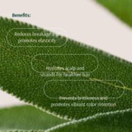 faces sage  multivitamin age well system