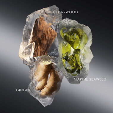 faces le sel d issey