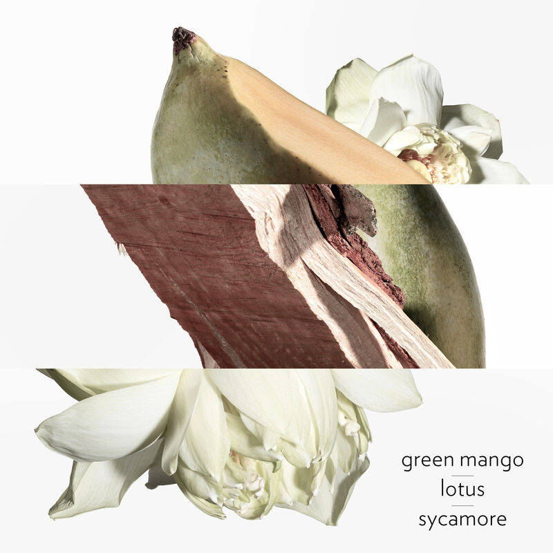 هيرميس جاردن سور لو نيل