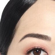 OMBRE PREMIERE faces ombre premiere