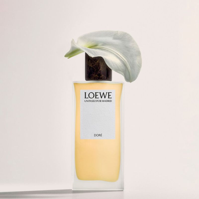 loewe un paseo por madrid dore