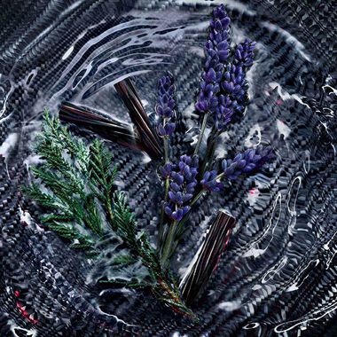 faces luna rossa carbon refillable