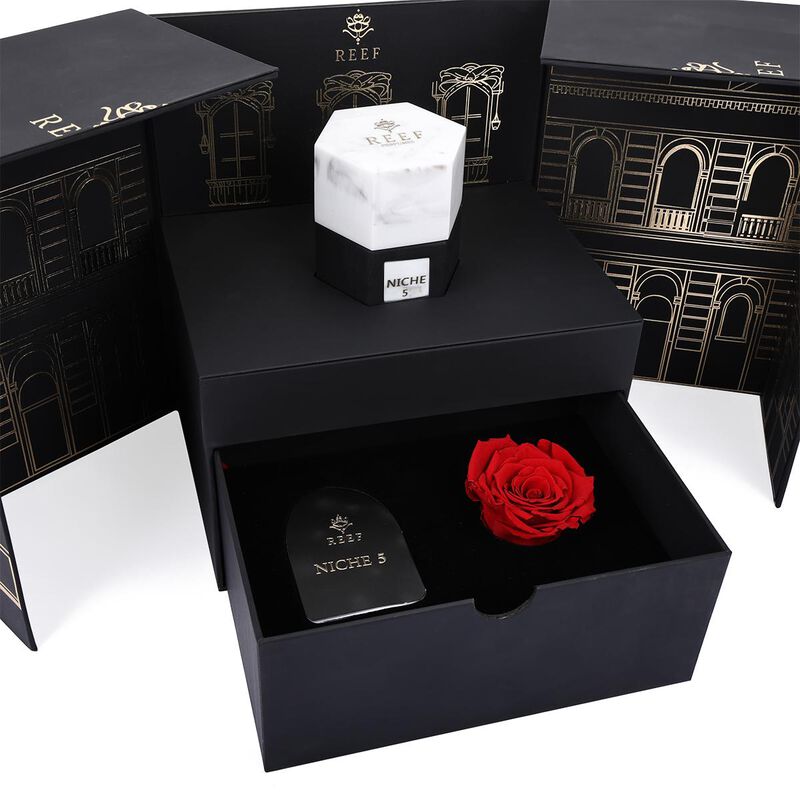 ريف العطور عطر  نيش 5