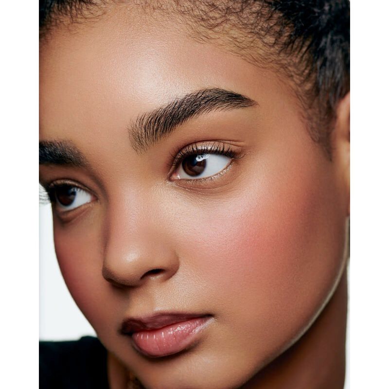 chanel les beiges healthy glow blush