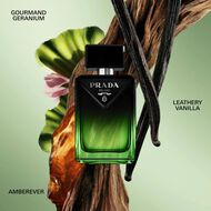faces paradigme le parfum