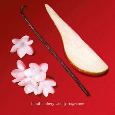 faces s  passione intense refill