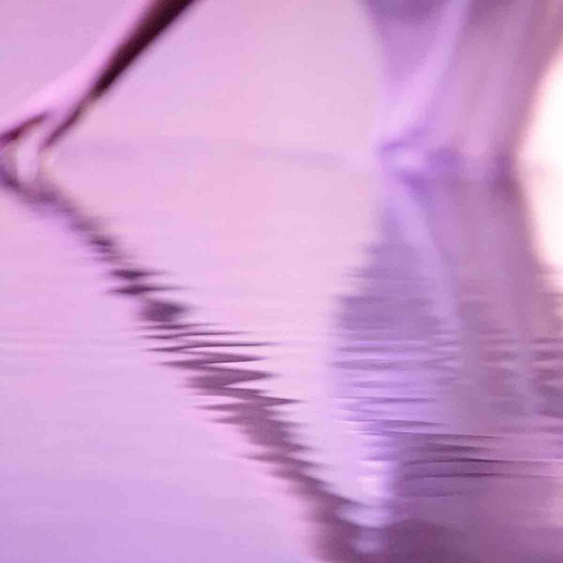 estee lauder sensuous stars eau de parfum