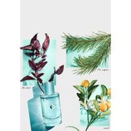 عطر تيفاني اند لوف أو دو برفان faces عطر تيفاني اند لوف أو دو برفان