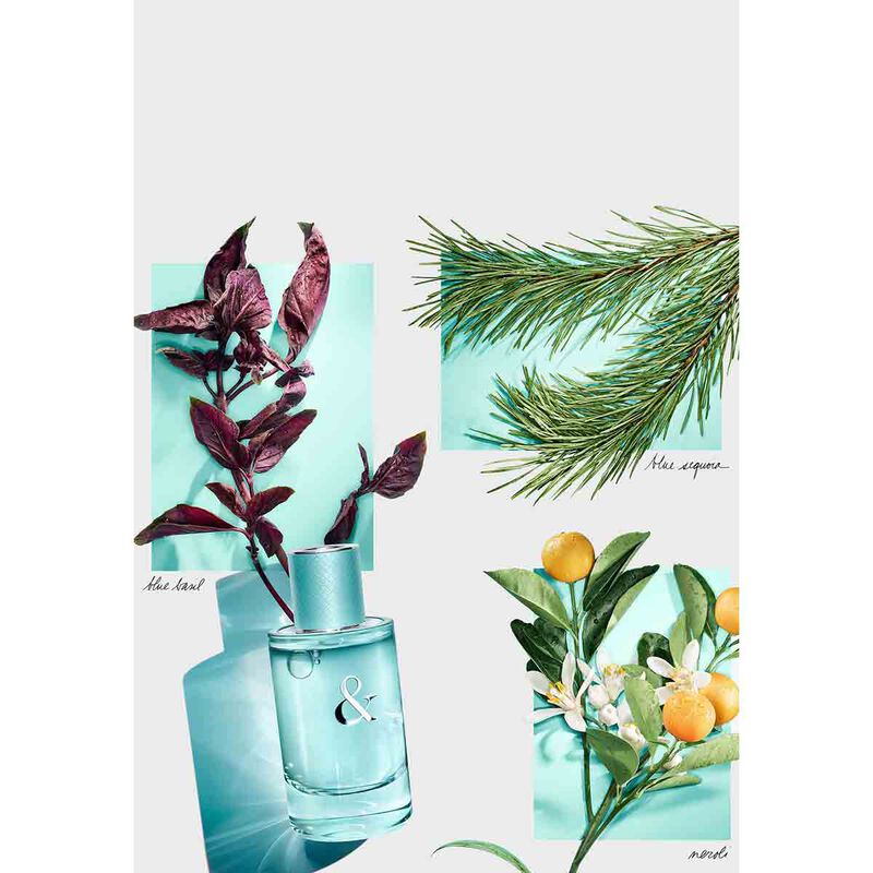 تيفاني أند كو عطر تيفاني اند لوف أو دو برفان