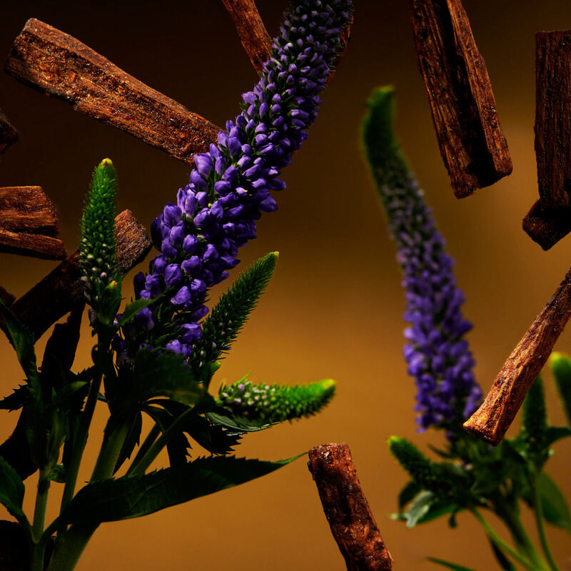 rituals the ritual of oudh foaming shower gel