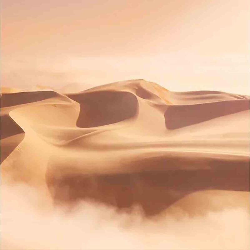 estee lauder blushing sands eau de parfum