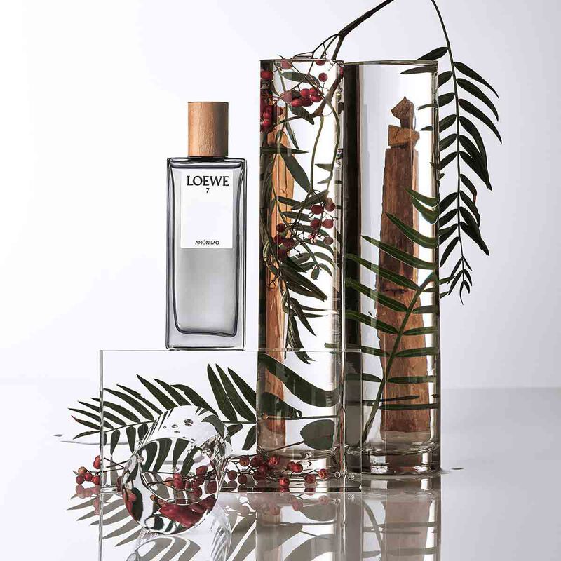 لووي 7 آنونيموأو دو برفان