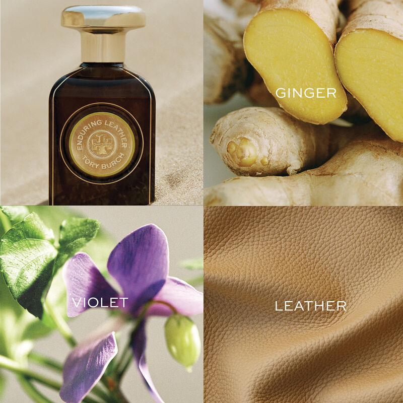 توري بورش انديورينج ليذر