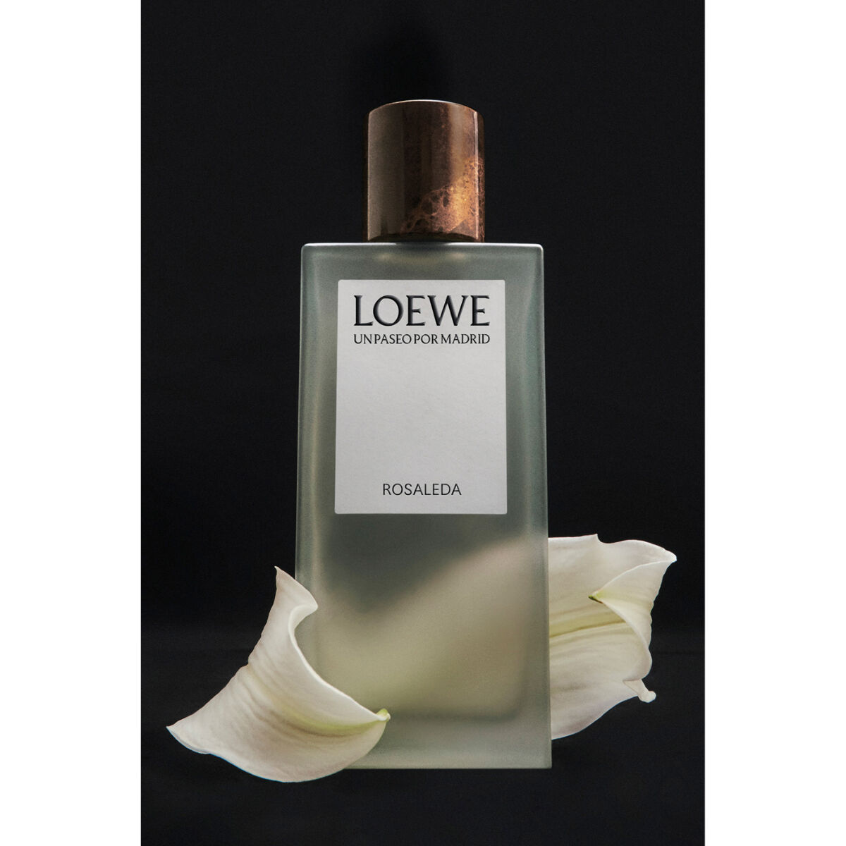 Loewe Un Paseo Por Madrid Rosaleda Eau de Parfum