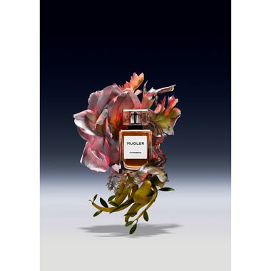 faces les exceptions chpyprissime  repack