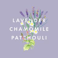 Perfect Night's Sleep Pillow Mist faces perfect night s sleep pillow mist