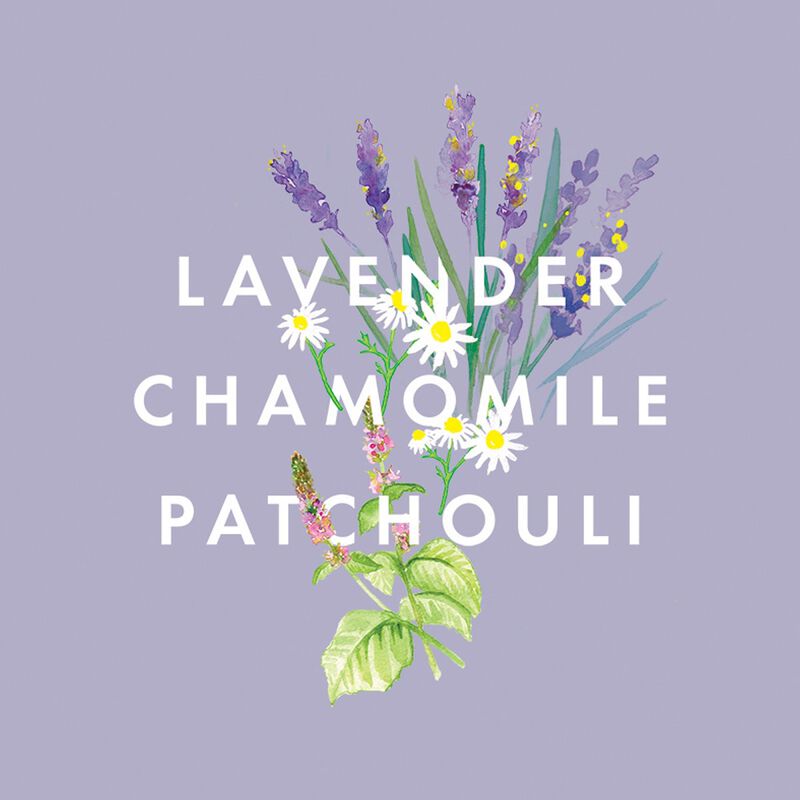 neom organics perfect night's sleep pillow mist