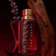 The Scent Elixir Parfum Intense faces the scent elixir parfum intense