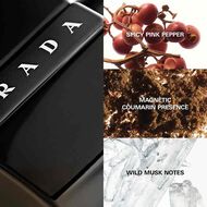 عطر لونا روسا بلاك أو دو تواليت 50مل faces عطر لونا روسا بلاك أو دو تواليت 50مل