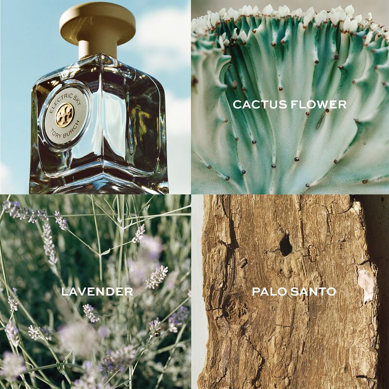 توري بورش الكتريك سكاي