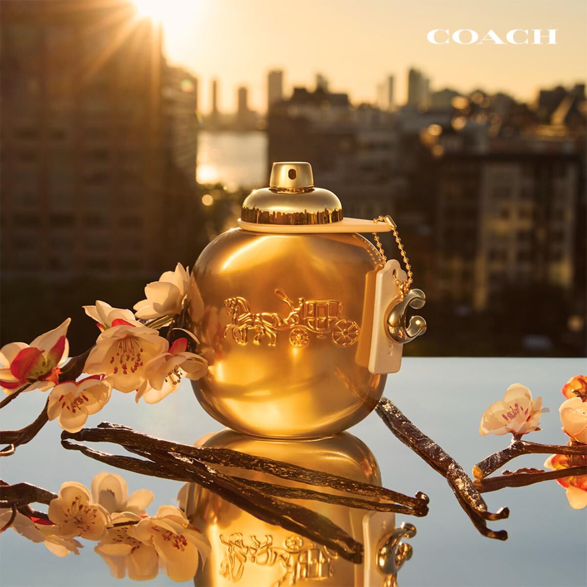 COACH gold PARFUM 90ML 香水 Coach Gold Parfum