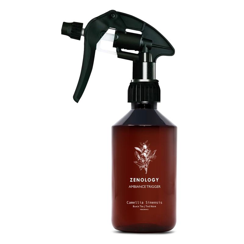 zenology camelia sinensis black tea