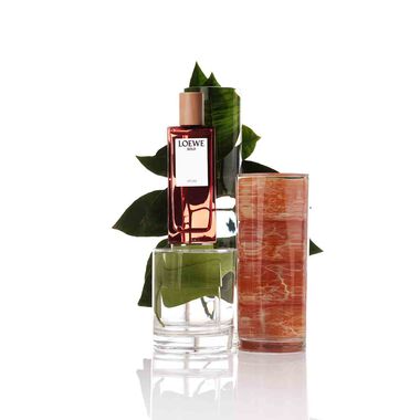 faces solo atlas eau de parfum 100 ml