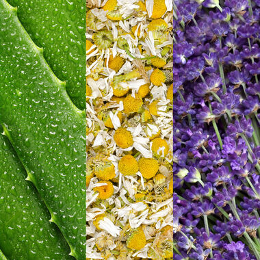 faces facial spray with aloe  chamomile and lavender