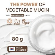 Phyto Ground Calming Moisture Cream faces phyto ground calming moisture cream