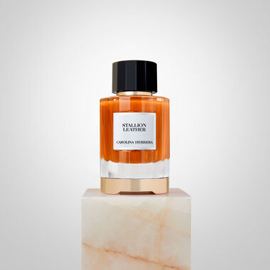 faces stallion leather