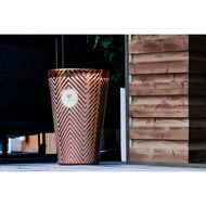 faces whispers of nectar