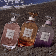 Dreams Moonlight faces dreams moonlight