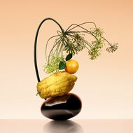 faces orange m diterran e