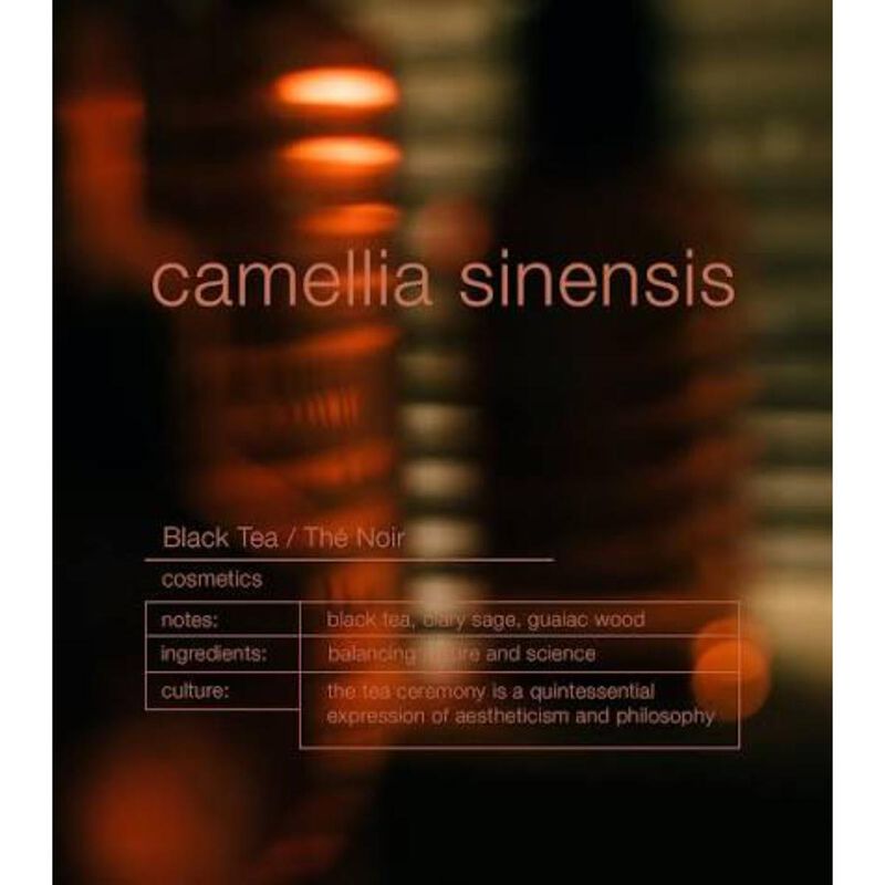 zenology camelia sinensis black tea