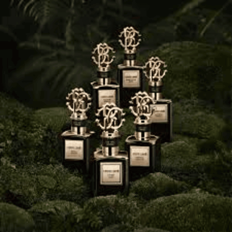 روبرتو كافالي عطر غولد سبلنديد فانيلا