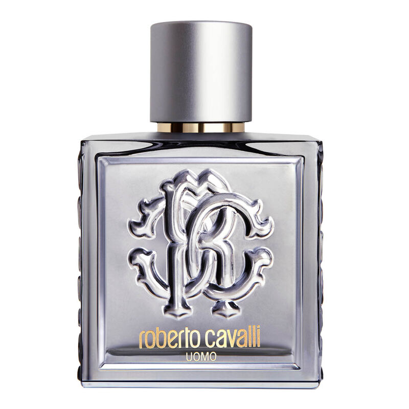 roberto cavalli uomo silver essence eau de toilette