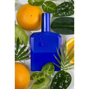 This is not a Blue Bottle 1.1 faces this is not a blue bottle 1 1