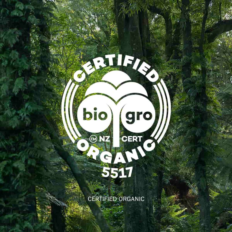 antipodes rejoice light facial day cream