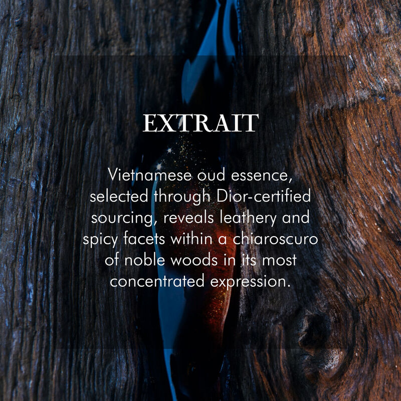 dior sauvage extrait