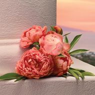 faces ماء عطر ماي ديفوشن إينتنس