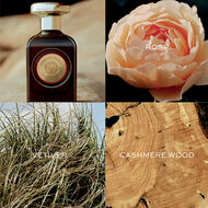 faces دارينج روز