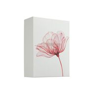 مجموعة ذا ريتوال أوف أورفيدا كبير faces مجموعة ذا ريتوال أوف أورفيدا كبير